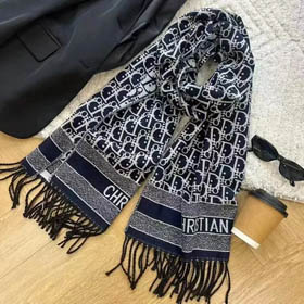 Lv/Dior Scarf